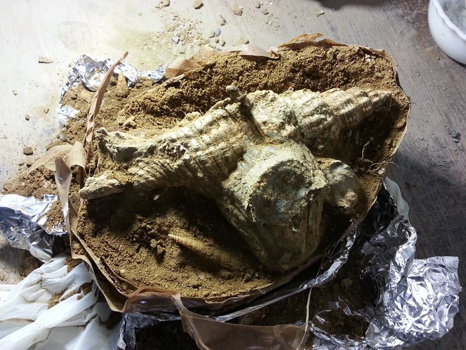 Un pezzo veramente particolare